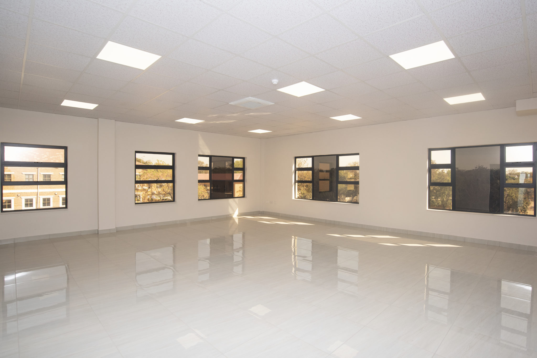 For Rent Newman Real Estate